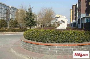 柏林在线观看,虚拟漫步这座历史名城的魅力瞬间  第1张